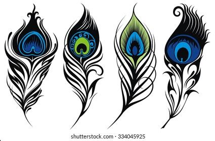 Stylized Vector Peacock Feathers Stock Vector (Royalty Free) 334045925 | Shutterstock