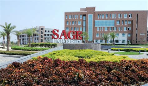 Consultancy - SAGE University Bhopal