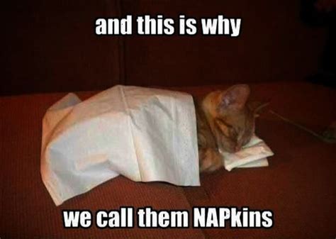 This Is Why We Call Them Napkins Pictures Photos and Images for ...