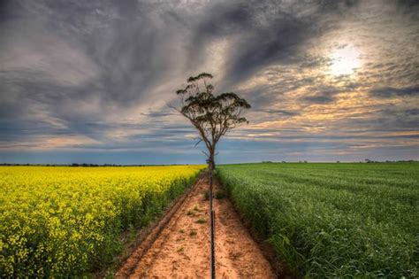 Dividing Line by Rhino300 - VIEWBUG.com