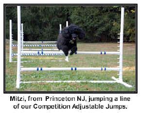 Jumps by Affordable Agility