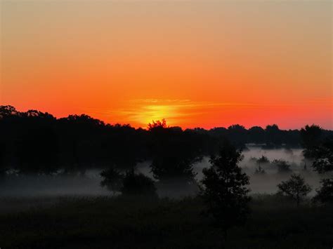 Foggy Sunrise | Early morning sunrise before the fog has bur… | Flickr