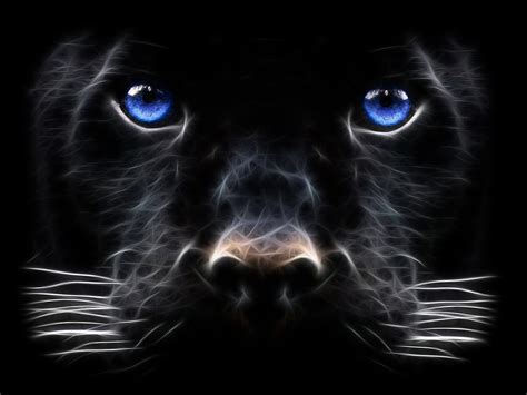 103 Black Panther HD Wallpapers | Background Images - Wallpaper Abyss