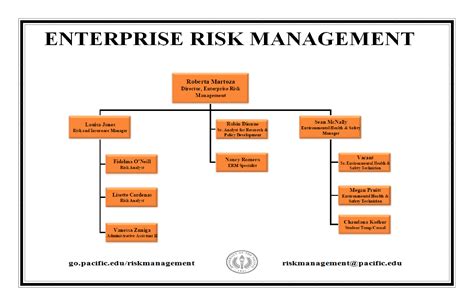 免费 Enterprise Risk Management Organizational Chart | 样本文件在 allbusinesstemplates.com