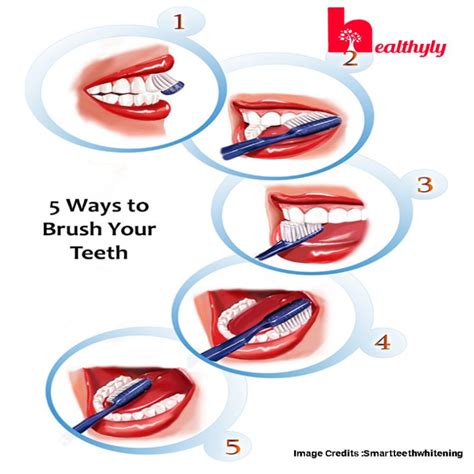 5 Steps to brush your teeth properly for a healthy mouth - Healthyly