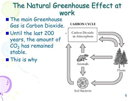 PPT - The impact of climate change on agriculture PowerPoint Presentation - ID:677176