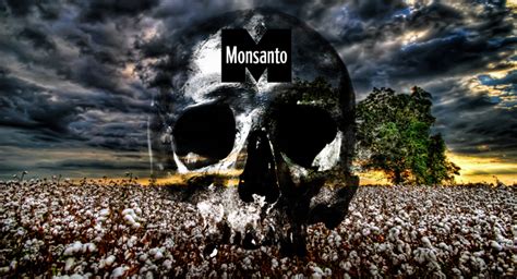 Bowing to Monsanto, USDA Approves New GMO Soy and Cotton Crops