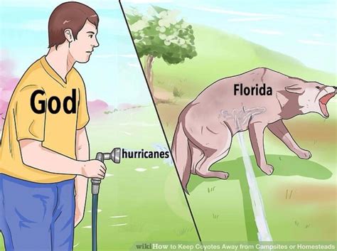 Florida man needs to stop dem hurricanes : r/memes