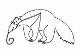 Funny Anteater Coloring Page  Free Printable Coloring Pages sketch template
