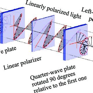 Linear polarization of light. | Download Scientific Diagram