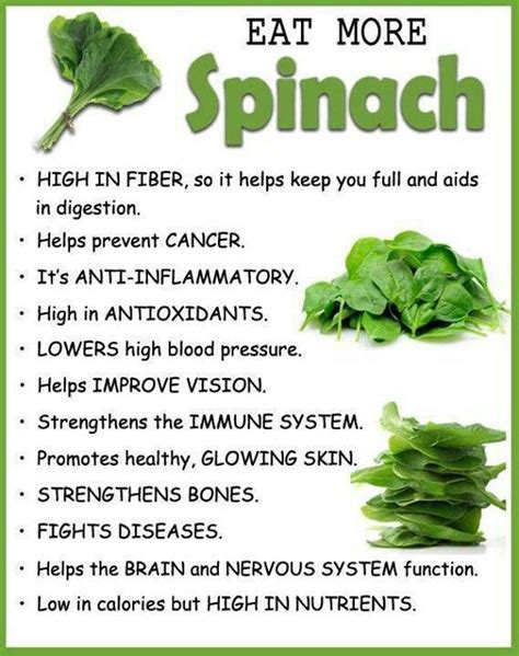 15 Best Benefits and Uses Of Water Spinach For Skin, Hair and Health | Spinach benefits, Water ...