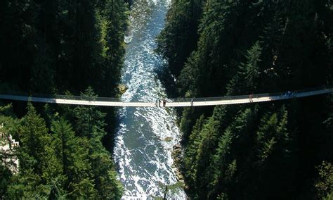 Que ver en el puente Capilano en Vancouver ¿Conoces el verdadero aroma a bosque? | Capilano ...