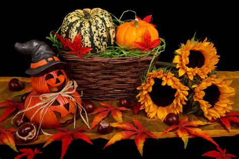 Download Basket Gourd Sunflower Jack-o'-lantern Pumpkin Fall Photography Still Life 4k Ultra HD ...