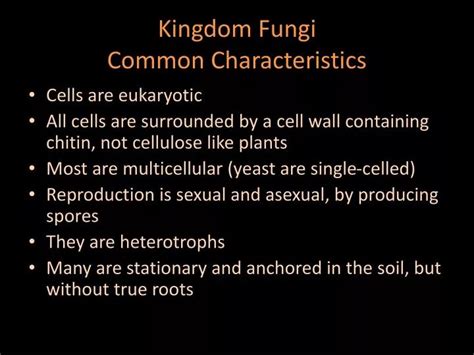 PPT - Kingdom Fungi Common Characteristics PowerPoint Presentation, free download - ID:5339751