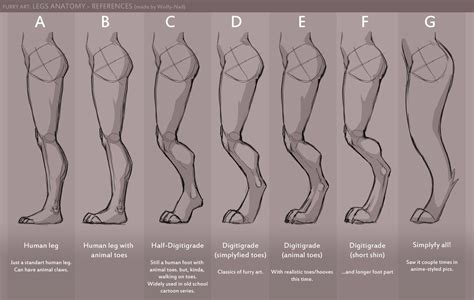 Anthro legs Anatomy reference, Art reference poses, Design reference - DaftSex HD