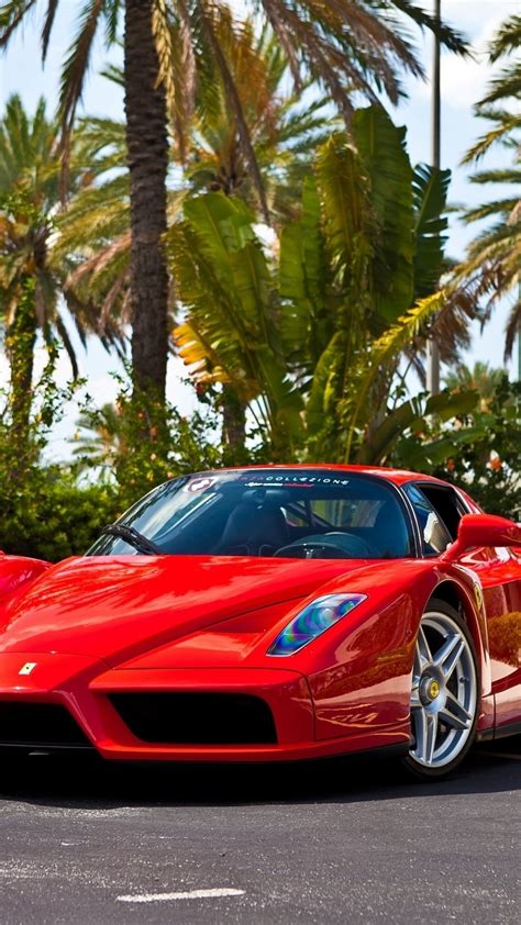 Ferrari Enzo Wallpaper (54+ pictures)