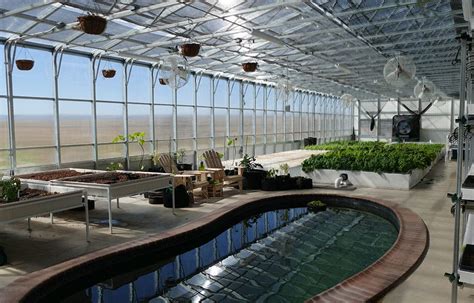 7 Tips for Aquaponics Greenhouse Design - Greenhouse Aquaponics Tips