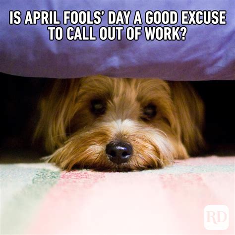 35 Funniest April Fools' Memes of 2024: Funny April Fools' Day Memes