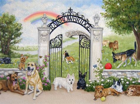 Pin by Karen Schneider on My favorite canines! | Dog heaven, Rainbow bridge dog, Rainbow bridge