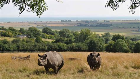 Port-Lympne - Stevenage Travel