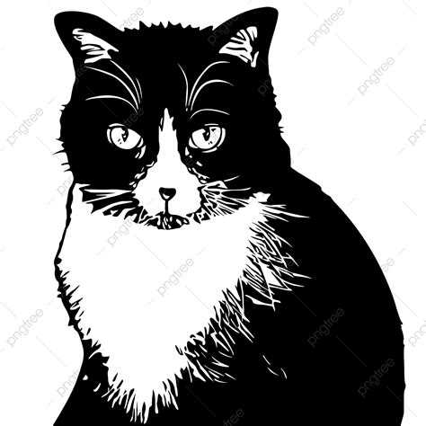 Kittens Clipart Black And White