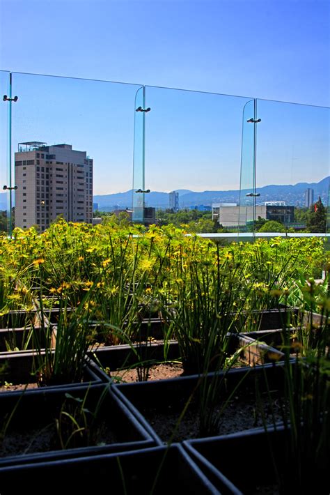 Green roof | Andres Alvarado | Flickr