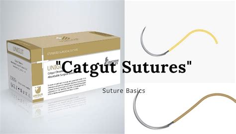 Catgut Sutures - Suture Basics