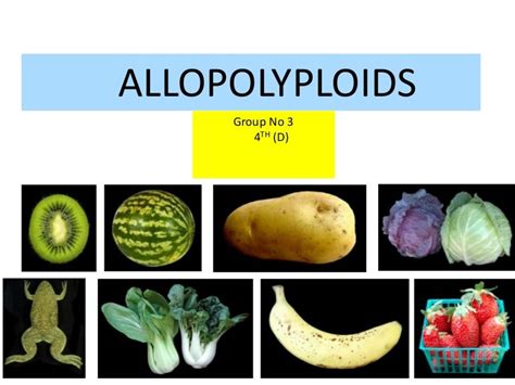 Allopolyploid