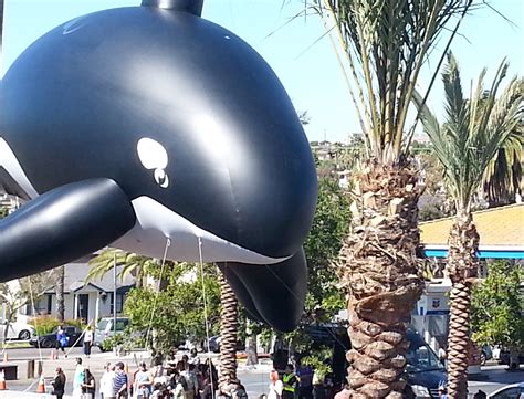 Dana Point Festival of the Whales Parade Saturday March 7 2020 – South ...