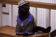 Salem Saberhagen GIFs | Tenor