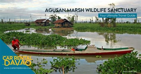 Into the Vast Wetland of Agusan Marsh Wildlife Sanctuary