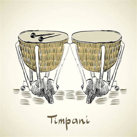 110+ Timpani Drum Sticks Stock Photos, Pictures & Royalty-Free Images - iStock