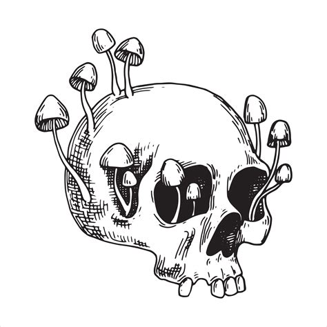 vector drawing skull and poisonous mushrooms. graphic drawing in sketch style. halloween theme ...