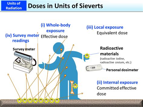 Doses in Units of Sieverts [MOE]