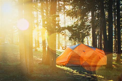 Photo of Tent in Forest · Free Stock Photo