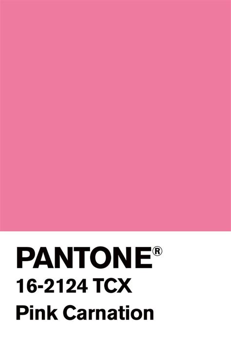 PANTONE Bubblegum | Pantone pink, Pantone, Pink carnations