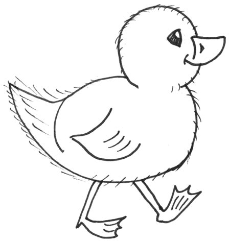 How to Draw Chicks : Drawing Cartoon Baby Chicks in Easy Steps – How to ...