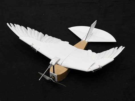 PigeonBot soft biohybrid robot bird | WordlessTech