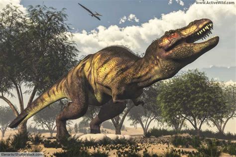 How Long Ago Were Dinosaurs Alive? аmаzіпɡ Facts & Figures