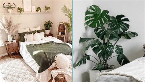 9 Minimalist Plant Bedroom Decor Ideas To Bring Nature Indoors – Katze Home