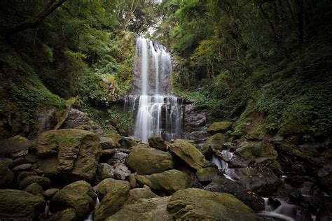 Cloud Forest Waterfall (雲森瀑布) — Josh Ellis Photography