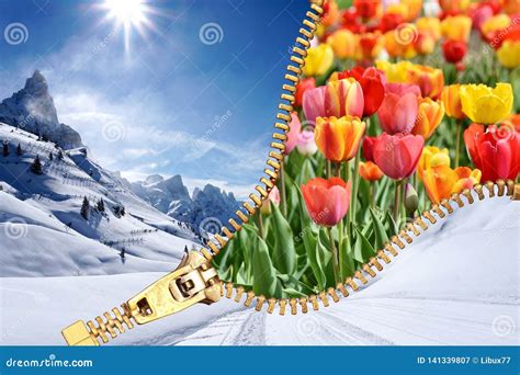 Winter Spring Transition Stock Illustrations – 28 Winter Spring Transition Stock Illustrations ...