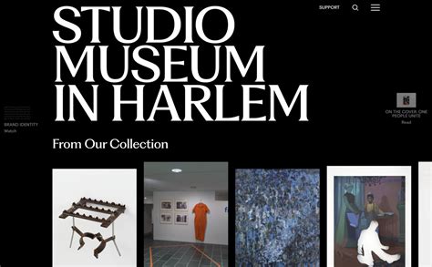 Siteinspire | Studio Museum in Harlem