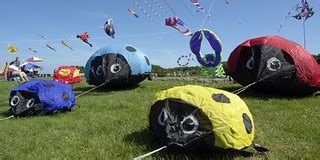 Kites-Jul09-030 4x8 | Newport Kite Festival | Gary Brownell | Flickr