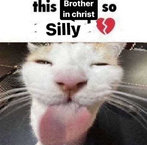 This Brother in Christ So Silly | Silly Cats | Know Your Meme