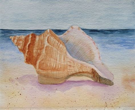 21 best images about Seashells on Pinterest | Watercolors, Conch shells and How to paint