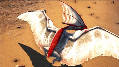 Tapejara - Official ARK: Survival Evolved Wiki