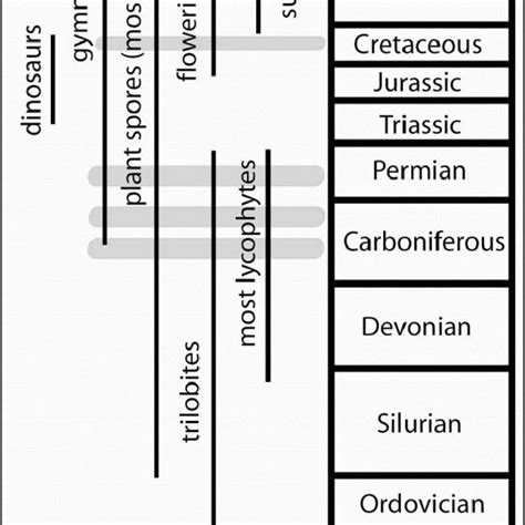 The distribution of some groups of fossils in the geological column.... | Download Scientific ...