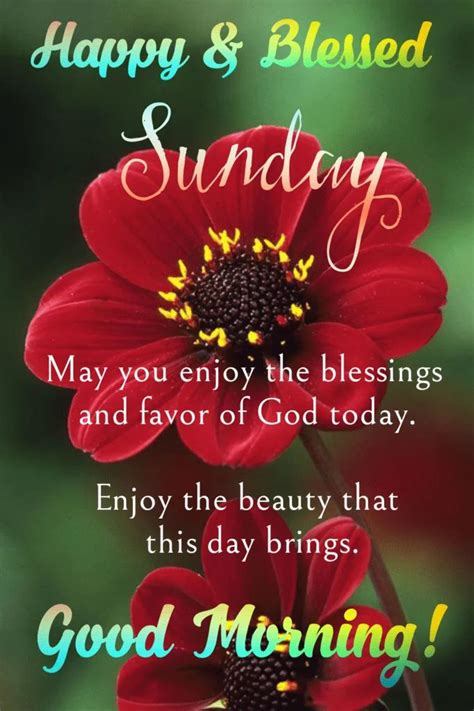 Happy Sunday | Good Morning Sunday - wishes1234.com | Happy sunday images, Happy sunday morning ...