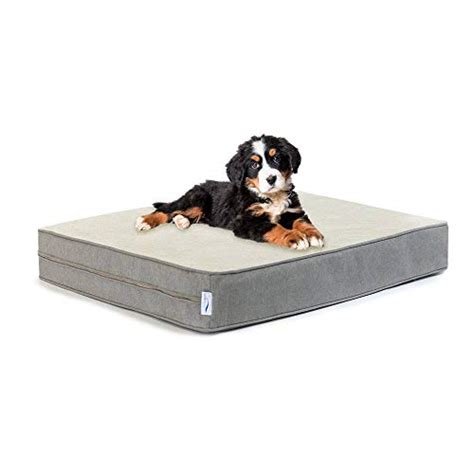 10 Best Dog Bed Brands for Small & Large Dogs (Updated 2024)